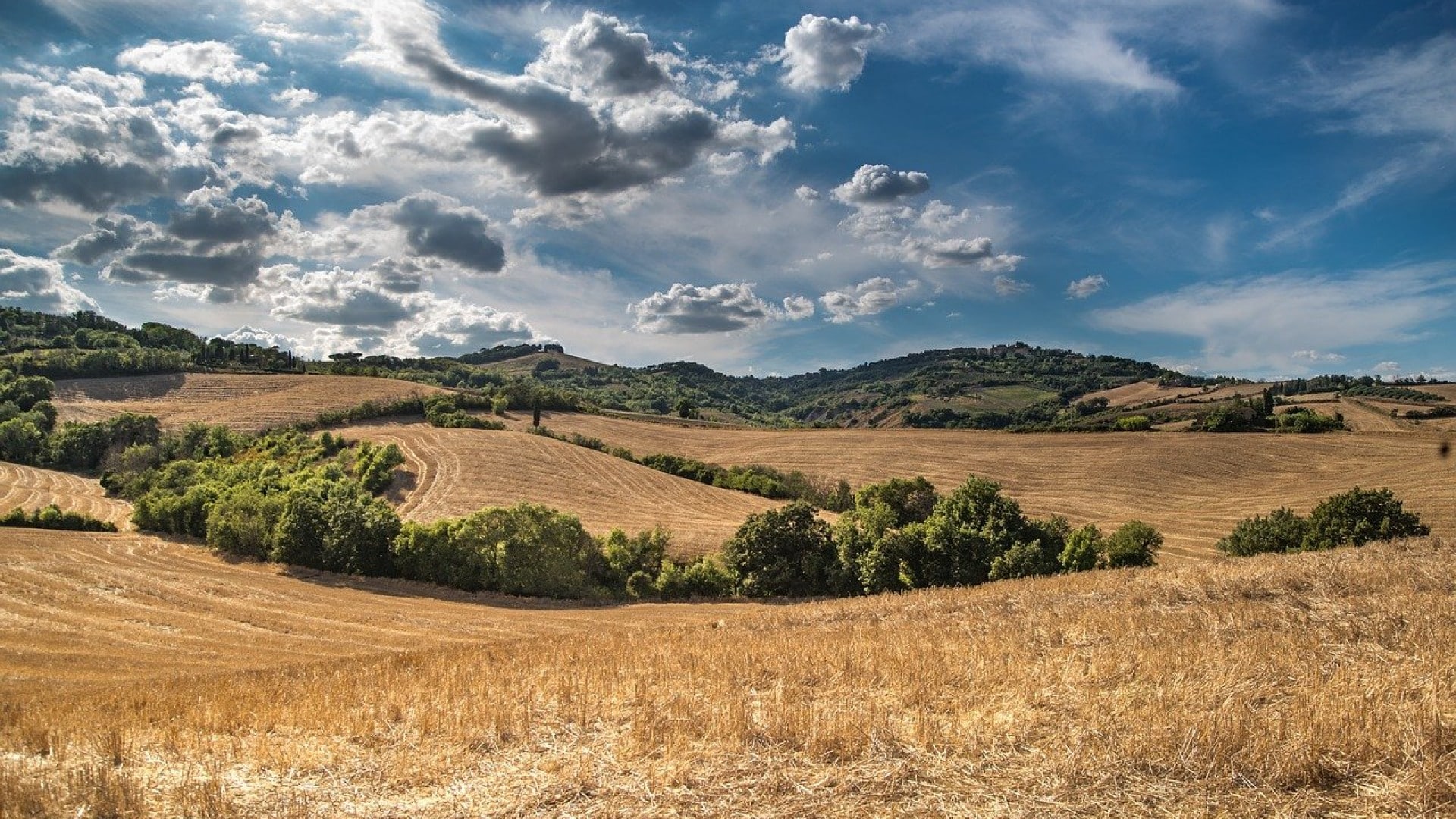 Les clés de la transmission d’une exploitation agricole